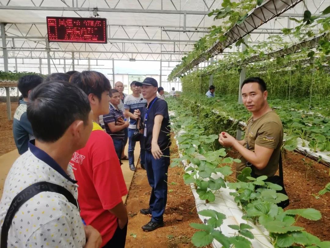 谈球吧官网-相信品牌力量