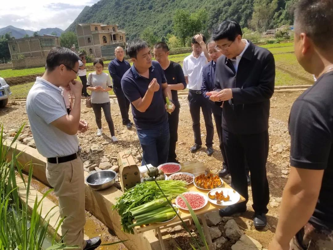 谈球吧官网-相信品牌力量